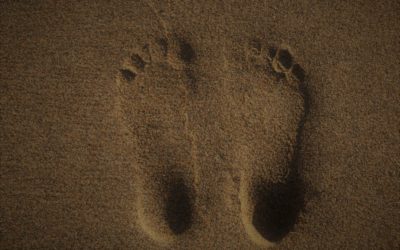 Réflexologie plantaire, kesako ?