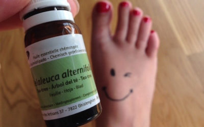 L’huile essentielle de Tea Tree, un indispensable!